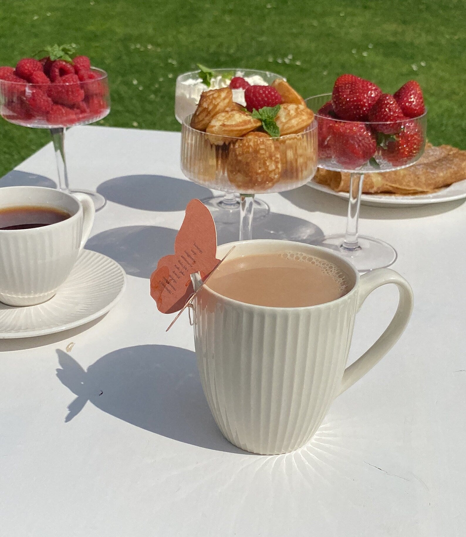 Thé Papillon - Message Positif & Inspiration – Coffret de 8 Thés Bio